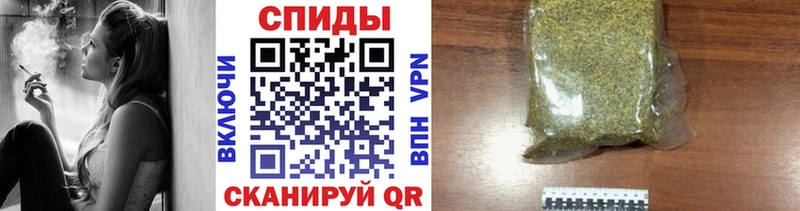 сколько стоит Кубинка Бутират BDO 33%
