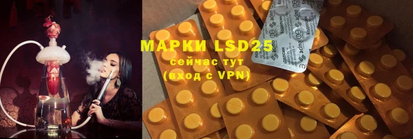 прущие грибы Белокуриха