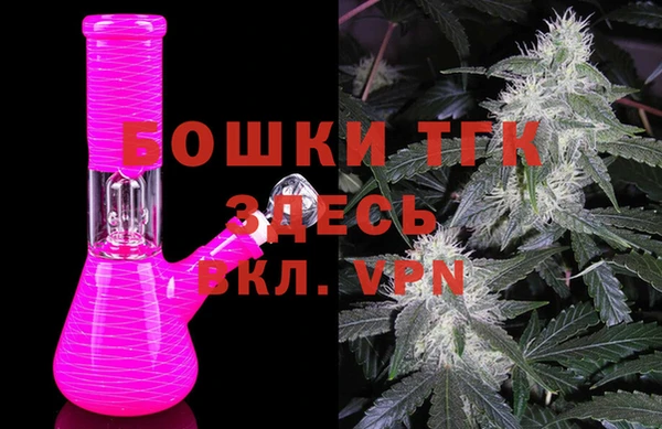 прущие грибы Белокуриха