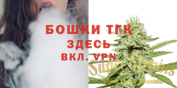 прущие грибы Белокуриха